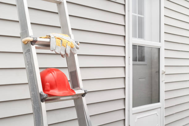 Best Demolition Debris Removal  in Bright, IN
